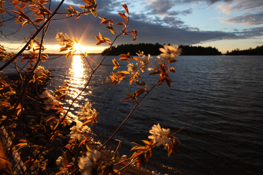 A Spring Sunset