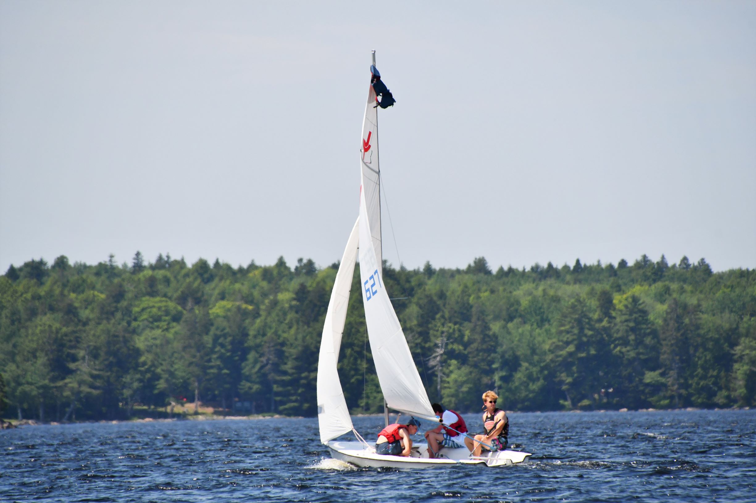 Protected: A Warm, Sunny Morning At Camp!